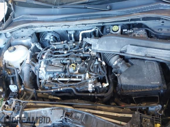 ✅ 2021 Ford Escape SE • VIN: 1FMCU9G67MUA05397 • Lot: 43331529. Listed on IAAI with 67,411 mi. Free auction sales archive from the USA and detailed vehicle history report at DreamBid. Image 10.