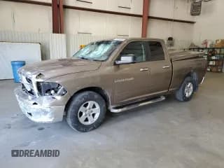 ✅ 2009 Dodge 1500 SLT • VIN: 1D3HB18P19S802456 • Лот: 75563684. Опубликован ранее на Copart с пробегом 217 186 миль. Бесплатный доступ к архиву аукционных продаж из США и подробный отчёт об истории автомобиля на DreamBid. Изображение 1.