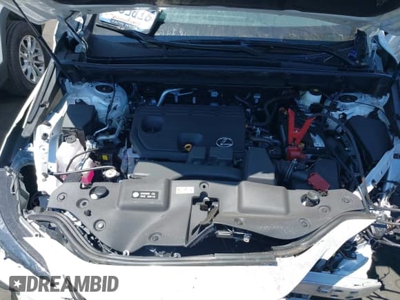 ✅ 2025 Lexus NX 250 • VIN: 2T2ADCAZ1SC025730 • Lot: 42605987. Wystawiony na IAAI z przebiegiem 697 mil. Bezpłatny archiwum sprzedaży aukcyjnych z USA i szczegółowy raport historii pojazdu na DreamBid. Zdjęcie 10.