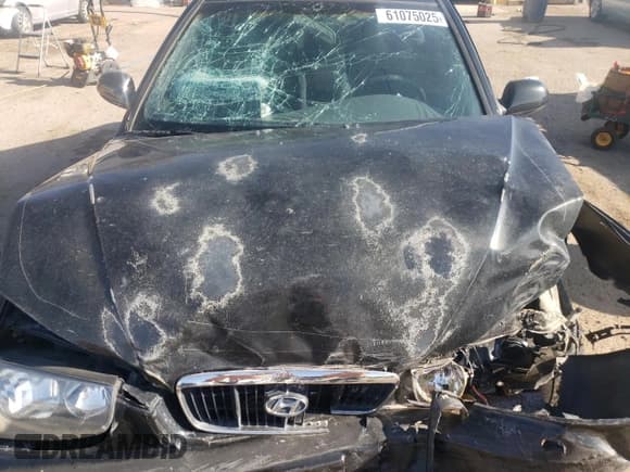 ✅ 2001 Hyundai Elantra GLS • VIN: KMHDN45D41U213366 • Lot: 61075025. Wystawiony na Copart z przebiegiem 211 374 mil. Bezpłatny archiwum sprzedaży aukcyjnych z USA i szczegółowy raport historii pojazdu na DreamBid. Zdjęcie 11.