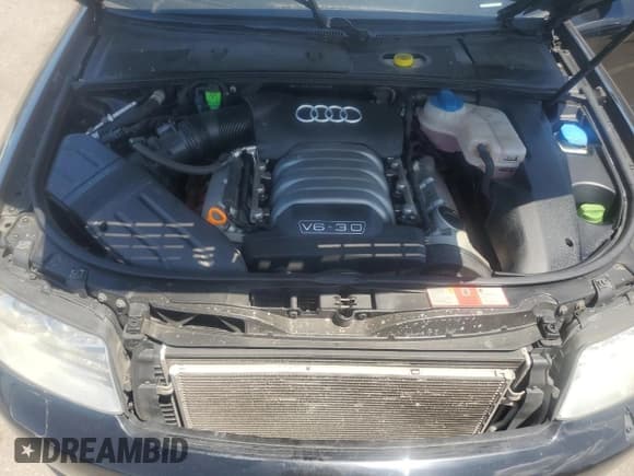 ✅ 2004 Audi A4 3.0L • VIN: WAULT68E14A009293 • Lot: 62206675. Listed on Copart with 65,486 mi. Free auction sales archive from the USA and detailed vehicle history report at DreamBid. Image 11.