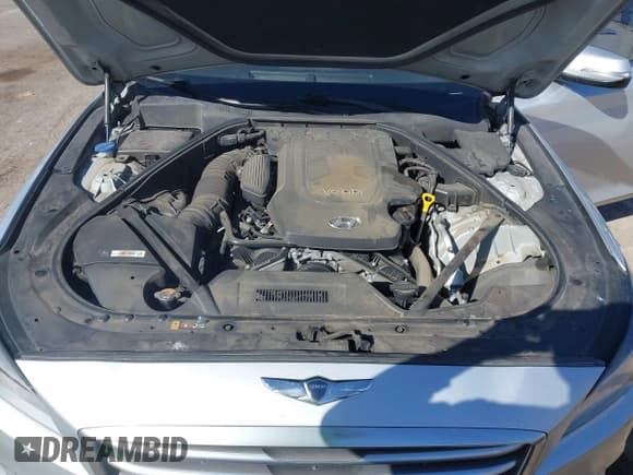 ✅ 2015 Hyundai Genesis 3.8L • VIN: KMHGN4JEXFU017256 • Lot: 41706821. Wystawiony na IAAI z przebiegiem 115 888 mil. Bezpłatny archiwum sprzedaży aukcyjnych z USA i szczegółowy raport historii pojazdu na DreamBid. Zdjęcie 10.