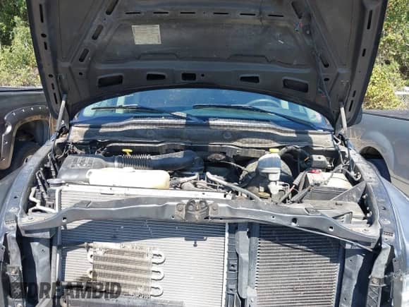 2002 Dodge 1500 с VIN 3D7HA18Z62G207943, выставлен на аукционе IAAI как лот 43398123 с пробегом 180 512 миль миль и . История ставок и продаж доступна на DreamBid. Изображение 10.