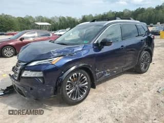 ✅ 2025 Nissan Rogue Platinum • VIN: JN8BT3DC8SW102494 • Lot: 81411105. Wystawiony na Copart z przebiegiem 5 022 mil. Bezpłatny archiwum sprzedaży aukcyjnych z USA i szczegółowy raport historii pojazdu na DreamBid. Zdjęcie 1.