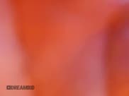 ✅ 2023 Lucid Air Grand Touring • VIN: 50EA1GBA6PA003159 • Lot: 66084314. Wystawiony na Copart z przebiegiem Nie podano. Bezpłatny archiwum sprzedaży aukcyjnych z USA i szczegółowy raport historii pojazdu na DreamBid. Zdjęcie 9.