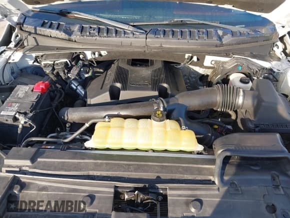 ✅ 2019 Ford F-150 Platinum • VIN: 1FTEW1E44KFA76861 • Lot: 43804534. Listed on IAAI with 55,130 mi. Free auction sales archive from the USA and detailed vehicle history report at DreamBid. Image 10.