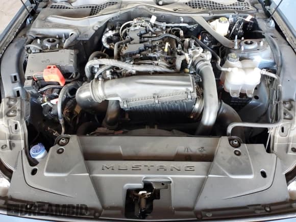 ✅ 2024 Ford Mustang EcoBoost Premium • VIN: 1FAGP8UH4R5118812 • Lot: 91237965. Listed on Copart with 10,682 mi. Free auction sales archive from the USA and detailed vehicle history report at DreamBid. Image 11.