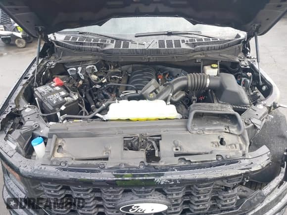 ✅ 2024 Ford F-150 STX • VIN: 1FTEW2K50RKD65367 • Lot: 43263151. Wystawiony na IAAI z przebiegiem 11 836 mil. Bezpłatny archiwum sprzedaży aukcyjnych z USA i szczegółowy raport historii pojazdu na DreamBid. Zdjęcie 10.