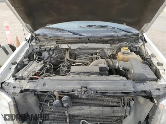 ✅ 2014 Ford F-150 XL • VIN: 1FTVX1EF8EKE15258 • Лот: 84421685. Опубликован ранее на Copart с пробегом 216 256 миль. Бесплатный доступ к архиву аукционных продаж из США и подробный отчёт об истории автомобиля на DreamBid. Изображение 11.