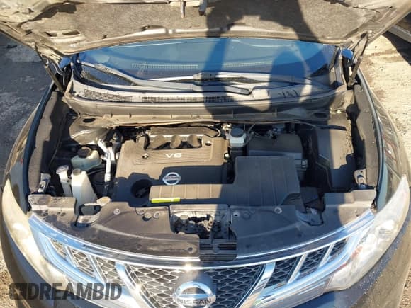 ✅ 2012 Nissan Murano SL • VIN: JN8AZ1MW9CW208740 • Lot: 43382740. Wystawiony na IAAI z przebiegiem Nie podano. Bezpłatny archiwum sprzedaży aukcyjnych z USA i szczegółowy raport historii pojazdu na DreamBid. Zdjęcie 10.