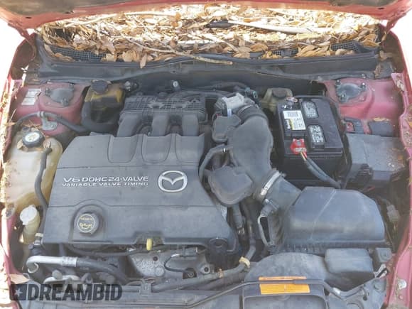 ✅ 2009 Mazda 6 S Grand Touring • VIN: 1YVHP82B895M25388 • Lot: 42197145. Listed on IAAI with Not provided. Free auction sales archive from the USA and detailed vehicle history report at DreamBid. Image 10.