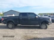 ✅ 2011 Ford F-150 XL • VIN: 1FTFW1EF3BKD55814 • Lot: 42225318. Listed on IAAI with 250,981 mi. Free auction sales archive from the USA and detailed vehicle history report at DreamBid. Image 12.