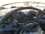 ✅ 2018 GMC Sierra 2500HD • VIN: 1GT12REY6JF155796 • Лот: 86639795. Опубликован ранее на Copart с пробегом Не указан. Бесплатный доступ к архиву аукционных продаж из США и подробный отчёт об истории автомобиля на DreamBid. Изображение 9.