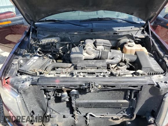 ✅ 2009 Ford F-150 XL • VIN: 1FTPW14V99FA41813 • Lot: 81812385. Listed on Copart with 1,543,936 mi. Free auction sales archive from the USA and detailed vehicle history report at DreamBid. Image 11.