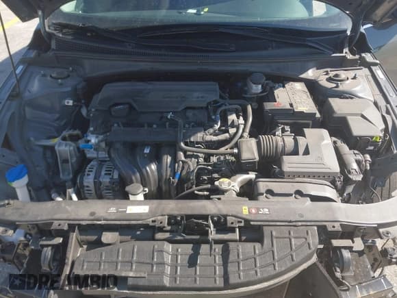 ✅ 2025 Hyundai Elantra SEL Convenience • VIN: KMHLS4DG0SU923902 • Лот: 43874032. Опубликован ранее на IAAI с пробегом 25 330 миль. Бесплатный доступ к архиву аукционных продаж из США и подробный отчёт об истории автомобиля на DreamBid. Изображение 10.