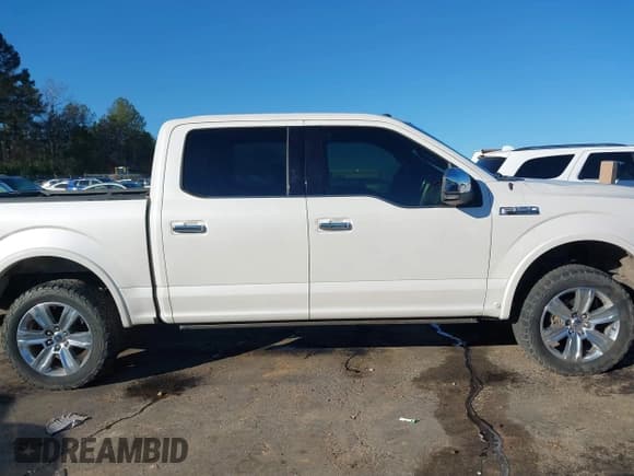 ✅ 2017 Ford F-150 XL • VIN: 1FTEW1EF5HFA07428 • Lot: 41334443. Listed on IAAI with 178,545 mi. Free auction sales archive from the USA and detailed vehicle history report at DreamBid. Image 13.