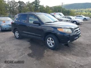✅ 2007 Hyundai Santa Fe GLS • VIN: 5NMSG13D87H125430 • Lot: 43319893. Wystawiony na IAAI z przebiegiem 252 585 mil. Bezpłatny archiwum sprzedaży aukcyjnych z USA i szczegółowy raport historii pojazdu na DreamBid. Zdjęcie 1.