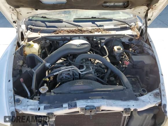 1999 Dodge Dakota SLT z VIN 1B7GL22Y5XS140838, wystawiony jako Copart lot #80016635 z przebiegiem 134 231 mil mil oraz Czysty tytuł • Clean title. Historia ofert i sprzedaży dostępna na DreamBid. Obrazek 11.