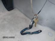 ✅ 2009 Mercedes-Benz C 300 Sport • VIN: WDDGF54X99R054946 • Lot: 42899460. Listed on IAAI with 83,222 mi. Free auction sales archive from the USA and detailed vehicle history report at DreamBid. Image 11.