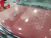 ✅ 2004 Chevrolet Suburban LT • VIN: 3GNFK16Z44G298982 • Лот: 43628747. Опубликован ранее на IAAI с пробегом 236 302 миль. Бесплатный доступ к архиву аукционных продаж из США и подробный отчёт об истории автомобиля на DreamBid. Изображение 12.