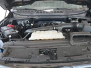 ✅ 2024 Ford F-150 XLT • VIN: 1FTFW3L80RFA57045 • Lot: 43298108. Wystawiony na IAAI z przebiegiem 14 172 mil. Bezpłatny archiwum sprzedaży aukcyjnych z USA i szczegółowy raport historii pojazdu na DreamBid. Zdjęcie 10.