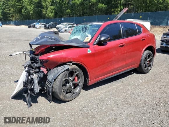 ✅ 2019 Alfa Romeo Stelvio Quadrifoglio • VIN: ZASPAKEV5K7C40044 • Lot: 66304725. Listed on Copart with Not provided. Free auction sales archive from the USA and detailed vehicle history report at DreamBid. Image 1.