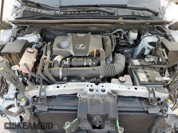 ✅ 2021 Lexus NX 300 • VIN: JTJDARBZ3M5028265 • Лот: 81124045. Опубликован ранее на Copart с пробегом 36 525 миль. Бесплатный доступ к архиву аукционных продаж из США и подробный отчёт об истории автомобиля на DreamBid. Изображение 11.