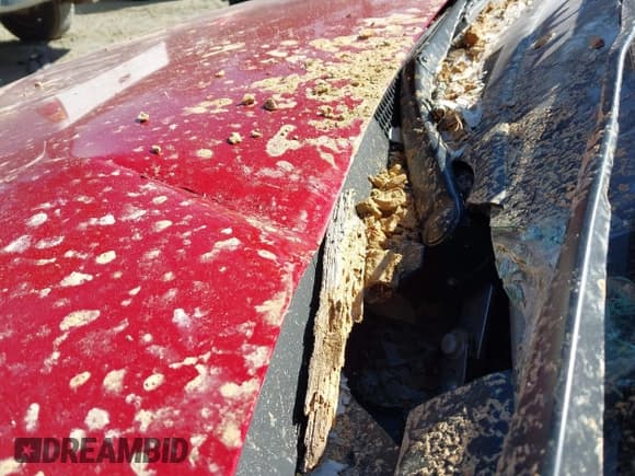 ✅ 2022 Hyundai Venue SEL • VIN: KMHRC8A36NU143228 • Lot: 41661508. Listed on IAAI with 70,335 mi. Free auction sales archive from the USA and detailed vehicle history report at DreamBid. Image 19.