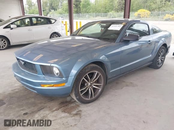 ✅ 2006 Ford Mustang Standard • VIN: 1ZVFT80N965118066 • Lot: 42261782. Wystawiony na IAAI z przebiegiem 132 447 mil. Bezpłatny archiwum sprzedaży aukcyjnych z USA i szczegółowy raport historii pojazdu na DreamBid. Zdjęcie 18.