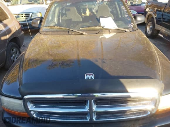 ✅ 2000 Dodge Dakota Sport • VIN: 1B7GG22N3YS697498 • Lot: 40923958. Wystawiony na IAAI z przebiegiem Nie podano. Bezpłatny archiwum sprzedaży aukcyjnych z USA i szczegółowy raport historii pojazdu na DreamBid. Zdjęcie 10.