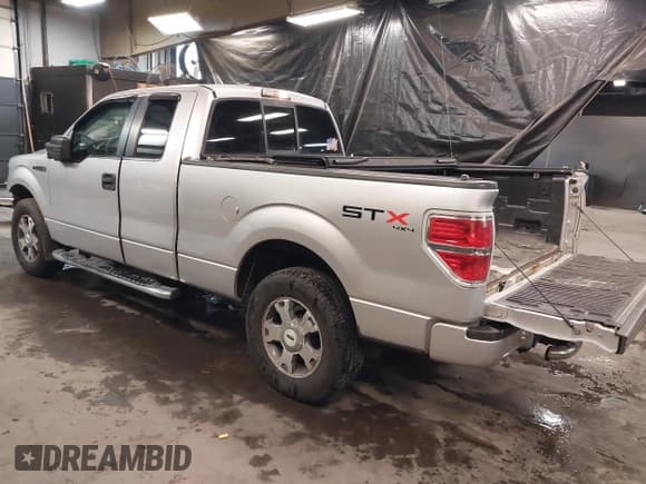 ✅ 2010 Ford F-150 XL • VIN: 1FTEX1EW8AFC67521 • Lot: 41408030. Listed on IAAI with 137,121 mi. Free auction sales archive from the USA and detailed vehicle history report at DreamBid. Image 3.