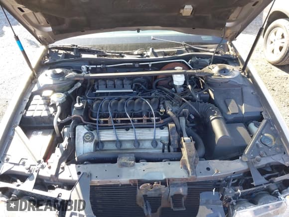 ✅ 1995 Cadillac Seville Luxury SLS • VIN: 1G6KS52Y1SU816278 • Lot: 41885789. Wystawiony na IAAI z przebiegiem 83 123 mil. Bezpłatny archiwum sprzedaży aukcyjnych z USA i szczegółowy raport historii pojazdu na DreamBid. Zdjęcie 10.