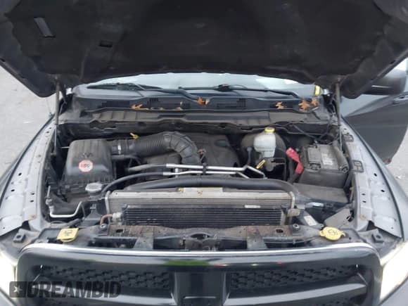 ✅ 2010 Dodge 1500 SLT • VIN: 1D7RV1GT2AS102359 • Лот: 43687808. Опубликован ранее на IAAI с пробегом 204 019 миль. Бесплатный доступ к архиву аукционных продаж из США и подробный отчёт об истории автомобиля на DreamBid. Изображение 10.