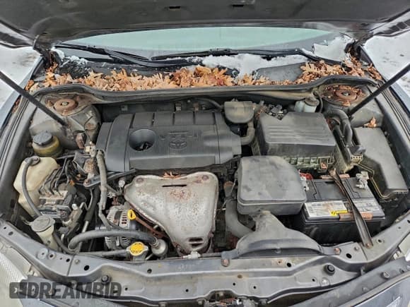 ✅ 2010 Toyota Camry XLE • VIN: 4T1BF3EK9AU087096 • Лот: 95208705. Опубликован ранее на Copart с пробегом 270 234 миль. Бесплатный доступ к архиву аукционных продаж из США и подробный отчёт об истории автомобиля на DreamBid. Изображение 11.