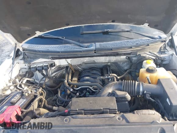 ✅ 2014 Ford F-150 XL • VIN: 1FTFW1EF2EFB55665 • Лот: 42993784. Опубликован ранее на IAAI с пробегом 193 896 миль. Бесплатный доступ к архиву аукционных продаж из США и подробный отчёт об истории автомобиля на DreamBid. Изображение 10.