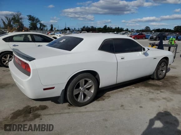 ✅ 2010 Dodge Challenger SE • VIN: 2B3CJ4DV1AH300457 • Lot: 76714904. Wystawiony na Copart z przebiegiem 187 962 mil. Bezpłatny archiwum sprzedaży aukcyjnych z USA i szczegółowy raport historii pojazdu na DreamBid. Zdjęcie 3.