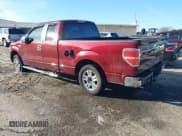 ✅ 2009 Ford F-150 STX • VIN: 1FTRX12849FA68355 • Lot: 43787214. Wystawiony na IAAI z przebiegiem 216 323 mil. Bezpłatny archiwum sprzedaży aukcyjnych z USA i szczegółowy raport historii pojazdu na DreamBid. Zdjęcie 3.