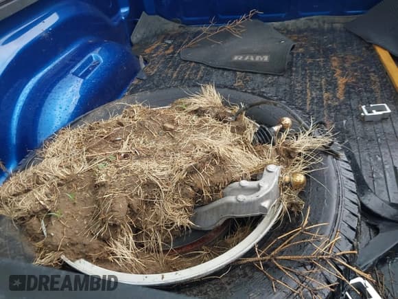 ✅ 2010 Dodge 1500 ST • VIN: 3D7JB1ET4AG159405 • Lot: 42708566. Wystawiony na IAAI z przebiegiem Nie podano. Bezpłatny archiwum sprzedaży aukcyjnych z USA i szczegółowy raport historii pojazdu na DreamBid. Zdjęcie 17.