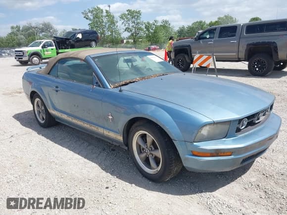 ✅ 2006 Ford Mustang Standard • VIN: 1ZVHT84N565250504 • Lot: 39591693. Listed on IAAI with Not provided. Free auction sales archive from the USA and detailed vehicle history report at DreamBid. Image 1.