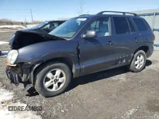 2005 Hyundai Santa Fe с VIN KM8SB13D95U021903, выставлен на аукционе Copart как лот 51082975 с пробегом 313 058 миль миль и Списание • Salvage title. История ставок и продаж доступна на DreamBid. Изображение 1.