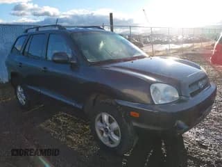 ✅ 2005 Hyundai Santa Fe GLS • VIN: KM8SC73DX5U957934 • Lot: 43611369. Listed on IAAI with 118,473 mi. Free auction sales archive from the USA and detailed vehicle history report at DreamBid. Image 1.