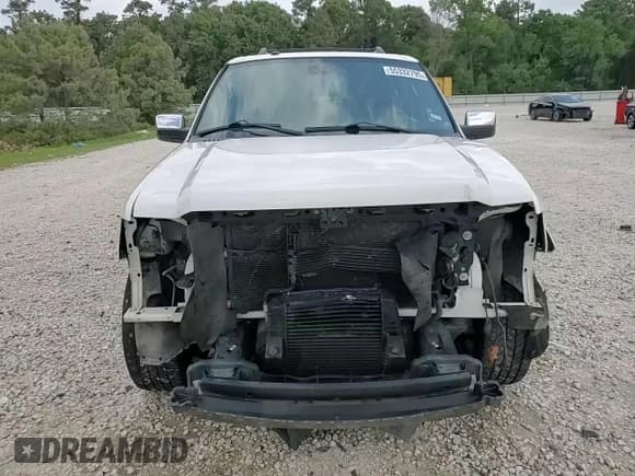 ✅ 2016 Ford Expedition Max Platinum • VIN: 1FMJK1LT4GEF11794 • Lot: 55332795. Listed on Copart with 151,060 mi. Free auction sales archive from the USA and detailed vehicle history report at DreamBid. Image 15.