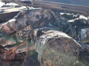 ✅ 2012 Porsche 911 991 Carrera • VIN: WP0AA2A98CS106182 • Lot: 72078754. Wystawiony na Copart z przebiegiem Nie podano. Bezpłatny archiwum sprzedaży aukcyjnych z USA i szczegółowy raport historii pojazdu na DreamBid. Zdjęcie 9.