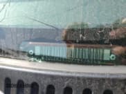 ✅ 1999 Chevrolet Silverado 1500 LS • VIN: 2GCEK19T0X1257385 • Lot: 67602525. Listed on Copart with Not provided. Free auction sales archive from the USA and detailed vehicle history report at DreamBid. Image 12.