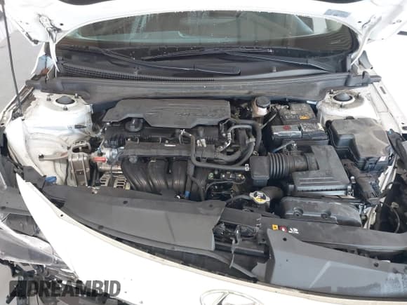 ✅ 2023 Hyundai Elantra SEL • VIN: 5NPLS4AG1PH097880 • Lot: 43442034. Listed on IAAI with 60,669 mi. Free auction sales archive from the USA and detailed vehicle history report at DreamBid. Image 10.