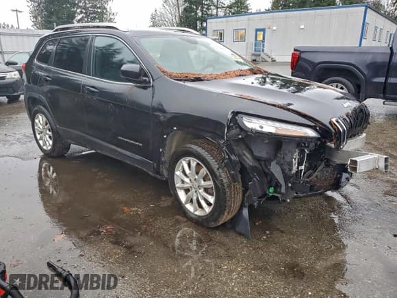 ✅ 2016 Jeep Cherokee Limited • VIN: 1C4PJMDB7GW280070 • Lot: 96229695. Wystawiony na Copart z przebiegiem Nie podano. Bezpłatny archiwum sprzedaży aukcyjnych z USA i szczegółowy raport historii pojazdu na DreamBid. Zdjęcie 4.