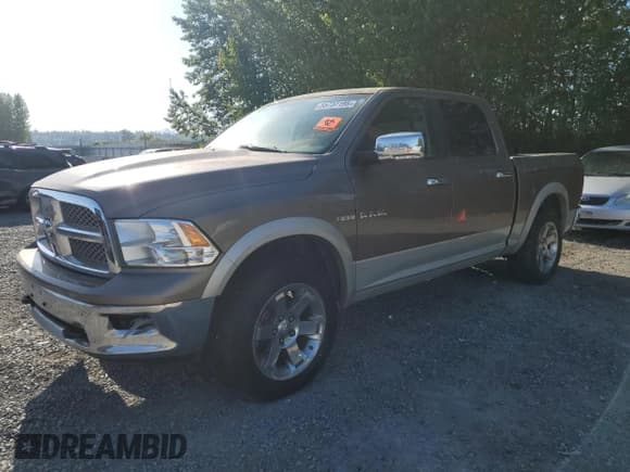 ✅ 2009 Dodge 1500 SLT • VIN: 1D3HV13T39J528159 • Lot: 55737195. Wystawiony na Copart z przebiegiem 192 899 mil. Bezpłatny archiwum sprzedaży aukcyjnych z USA i szczegółowy raport historii pojazdu na DreamBid. Zdjęcie 1.
