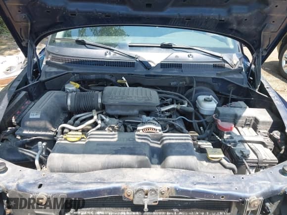 ✅ 2004 Dodge Dakota SLT • VIN: 1D7HG48N94S643579 • Lot: 42457885. Listed on IAAI with 165,445 mi. Free auction sales archive from the USA and detailed vehicle history report at DreamBid. Image 10.