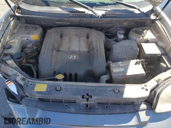 2005 Hyundai Santa Fe GLS с VIN KM8SC73D85U918453, выставлен на аукционе Copart как лот 46942725 с пробегом 186 275 миль миль и Списание • Salvage title. История ставок и продаж доступна на DreamBid. Изображение 12.