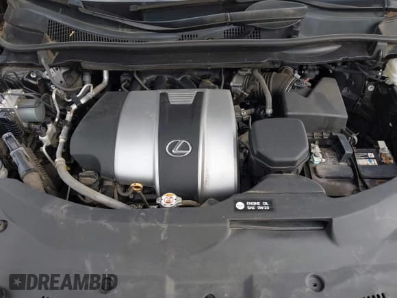 ✅ 2020 Lexus RX 350 • VIN: 2T2AZMAA5LC163502 • Лот: 43702504. Опубликован ранее на IAAI с пробегом 62 645 миль. Бесплатный доступ к архиву аукционных продаж из США и подробный отчёт об истории автомобиля на DreamBid. Изображение 10.